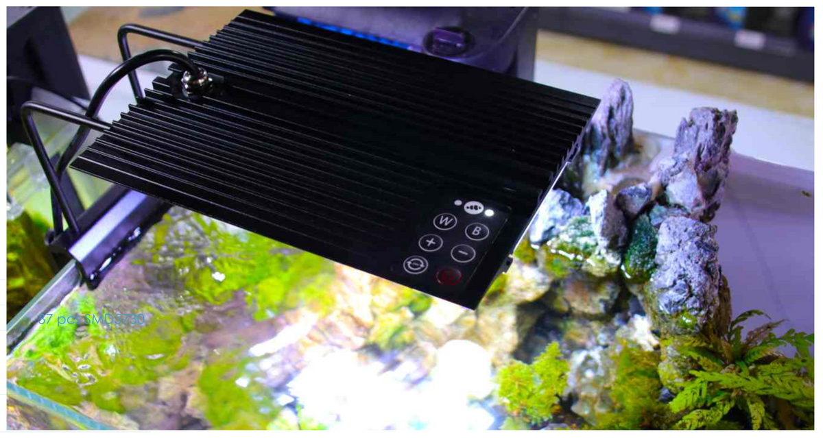 NEMO LIGHT Ⅱ ニモライト2 海水魚　アクアリウムライト 24W アウトレット品 マーフィード NEMO LIGHT 2 アクアフレッシュ 24W 淡水