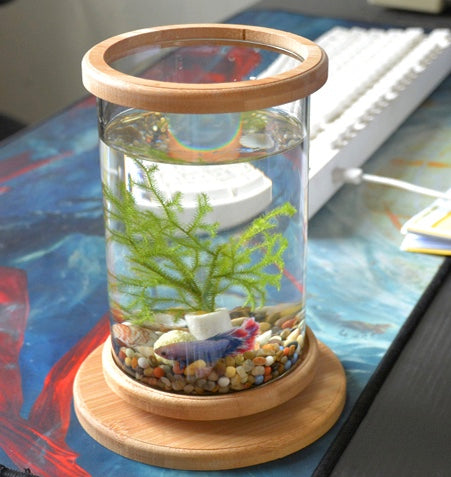 Cylindrical glass rotating nano aquarium terrarium – Aquamaniacs