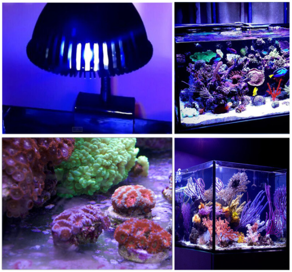 9x3w 27w Aquarium Led Clamp On Lighting Fixture 6500k Led Design For 9x3w 27w Aquarium Led Clamp On Lighting Fixture 6500k Led Design For