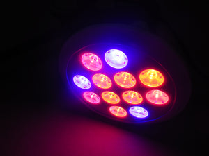 Aquamaniacs E27 36w LED growlight