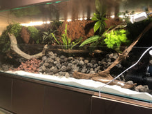 Terrarium setup service