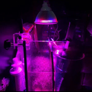Aquamaniacs E27 36w LED growlight