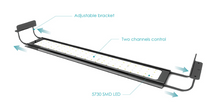 Nemolight 54w