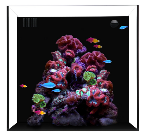 Waterbox Aquarium cube Nano 10 USA