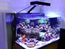 Aqua Knight LED marine