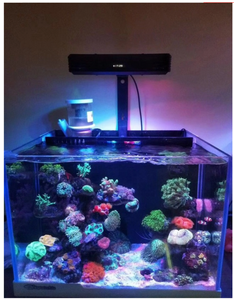 GAKO LED marine