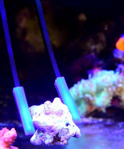 Vastocean carbon fibre forceps / reef marine freshwater coral plants tank aquarium