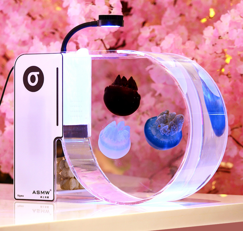 Kreisel design tank / jellyfish