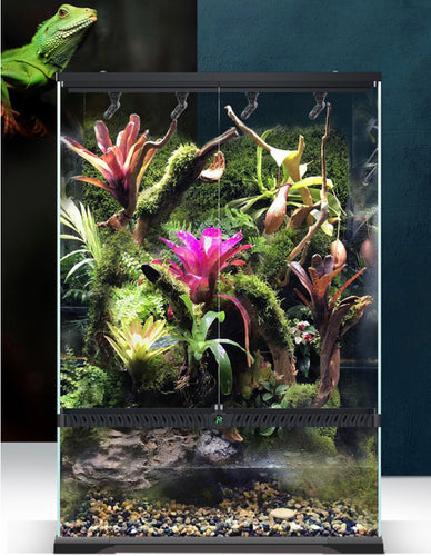 Terrarium setup service