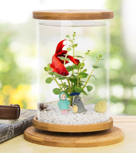 Cylindrical glass rotating nano aquarium / terrarium