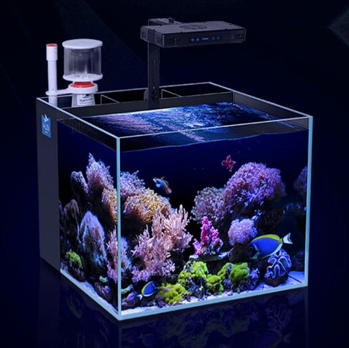 Nano aquarium for marine or freshwater internal infiltration