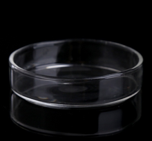 Glass Petri/Feeding Dish